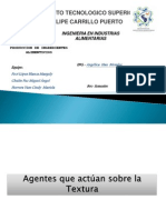 Agentes Que Actuan en La Textura