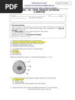 Prueba de Nivel 5° Basico