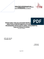 Proiectarea Tabloului de Bord Pentru Informar Ea Directorului Departamentului Planificarea Şi Programarea Producţiei În Cadrul Arcelormittal - Tubular - Products - Roman