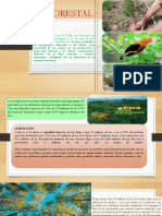 Recursos Forestales