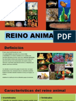 Reino Animal Exposicion