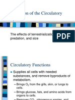 Evolution of The Circulatory System