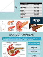 Pankreatit Is