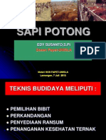 Materi BUDIDAYA Sapi Potong