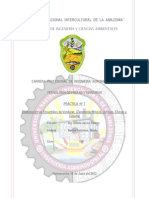 Informe N°7-Frutas Encurtido