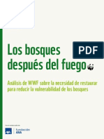 Los Bosques Después Del Fuego