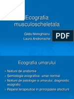 Ecografie Musculoscheletala)