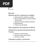 Análisis de La Realidad Bolivia