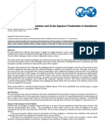 SPE 160703 Simultaneous Well Stimulation and Scale Squeeze Treatments in Sandstone and Carbonate Reservoirs