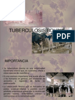 Tuberculosis Bovina