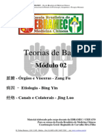 Med Chinesa Teorias de Base 02