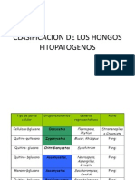 Clasificacion de Los Hongos Fitopatogenos