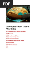 A Project About Global Warming