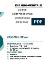 Cancer Urogenital