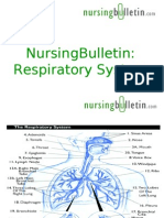 NursingBulletin Respiratory System