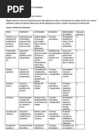 Plan Anual de Computacion 1