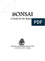 Bonsai Guide For The Beginner