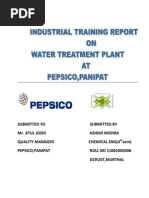 Pepsico Report