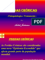 Feridas Crónicas - Fisiopatologia e Tratamento