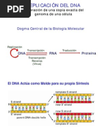 Biologia Celular - Clase 12