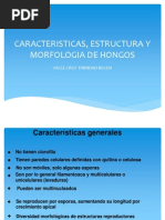 Morfologia de Hongos