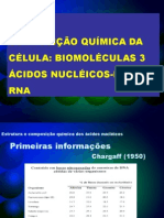 Aula 4 Ácidos Nucléicos DNA e RNA