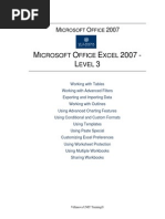 Excel 2007-Level 3