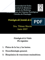 Fisiología de La Visión