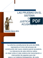 Principios Del Sistema Acusatorio