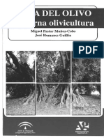 Poda Del Olivo Moderna Olivicultura 5 Edicion