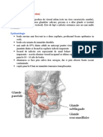 Referat Parotidita Epidemica