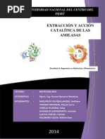 Informe de Biotecnologia Alfa Amilasa