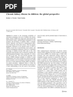 Chronic Kidney Disease in Children: The Global Perspective: Educational Feature