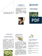 Triptico de Plantas Medicinales