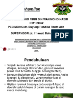 DBD Pada Kehamilan