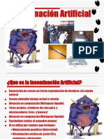 Inseminacion Artificial