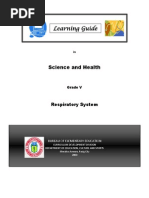 Respiratory System Learning Guide