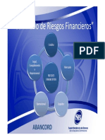 Seminario Riesgo de Credito y Concentracion (SB ABANCORD)