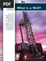 PPDM What Is A Well