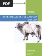 Enfermedades Del Ganado Bovino