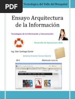 Ensayo Arquitectura de La Información