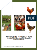 Kuroiler - NPV Financial Plan - Chick Sales