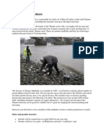 The Thames Foreshore: Dates and Permits Structure