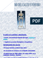 Metabolismo Del Calcio