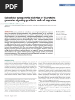 Subcellular Optogenetic Inhibition of G Proteins Generates Signaling Gradients and Cell Migration