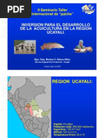 02 Inversión para El Desarrollo de La Acuicultura en Ucayali