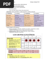 C4 - Herencia Mendeliana en El Ser Humano