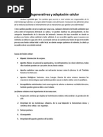 Trastornos Degenerativos y Adaptación Celular