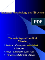 Bacterial Morphology and Structure