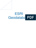 ESRI Geodatabase